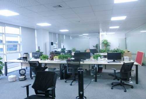 盐城高温链条油销售公司