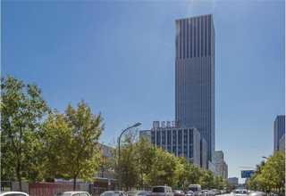 南京r-PET再生塑料供应